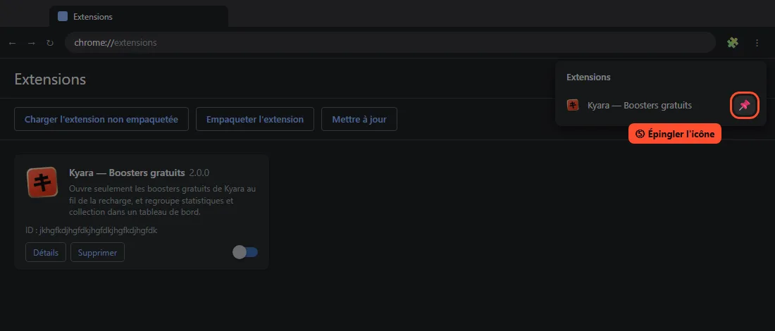 Épingler l'extension